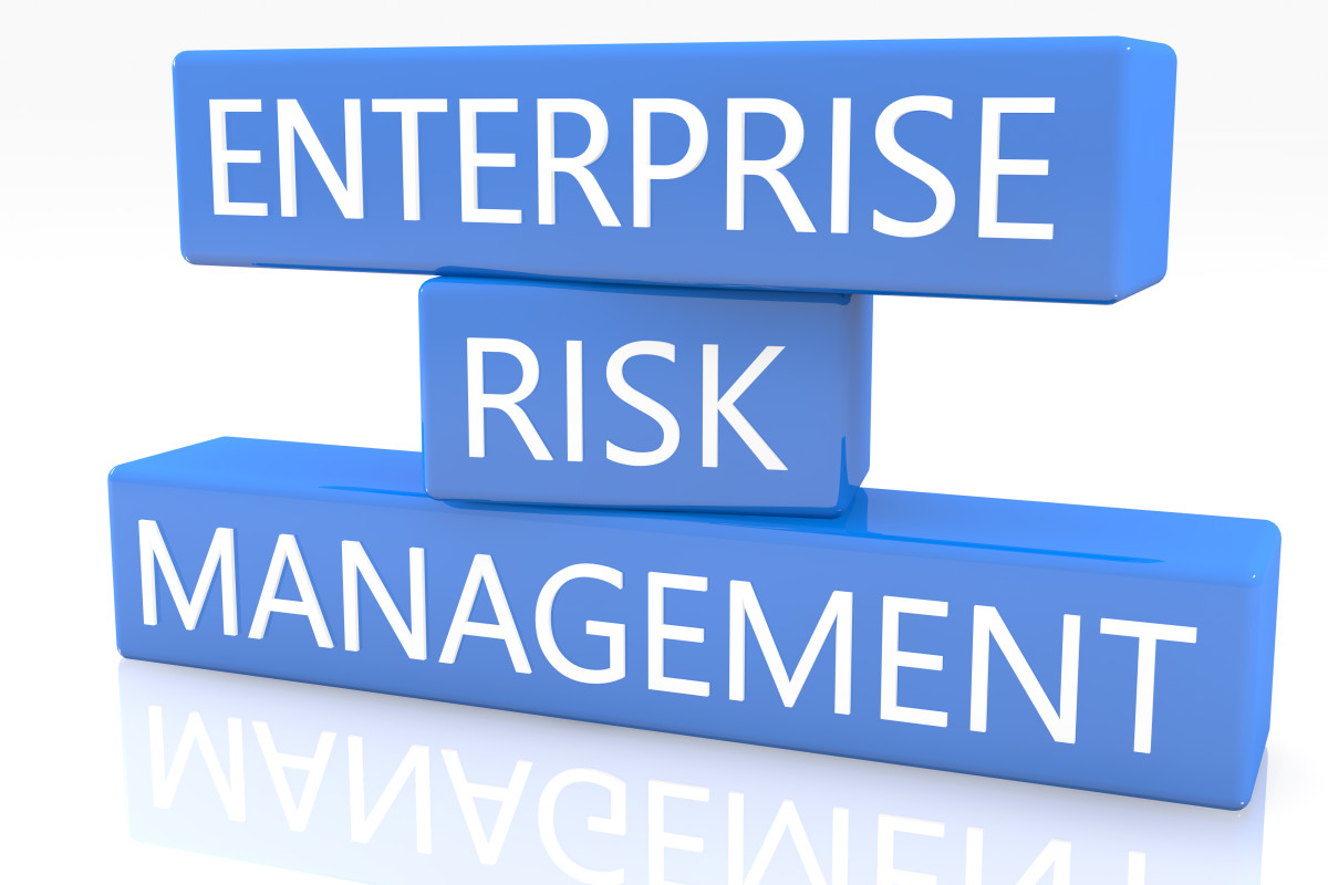 enterprise risk manager